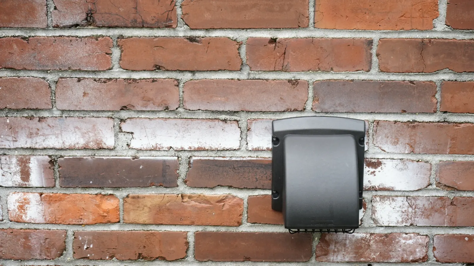 A pest-proof dryer vent cap installed on a brick exterior wall